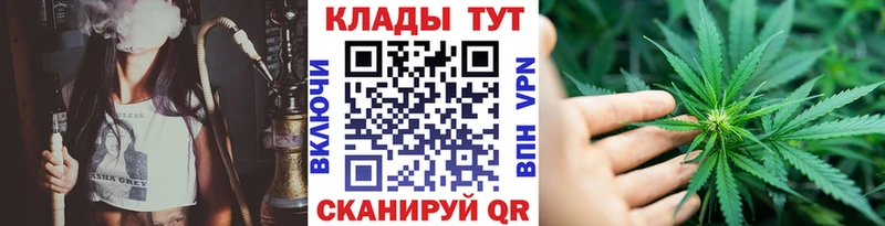 МЕФ Новокузнецк