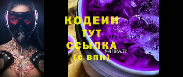 дмт Надым