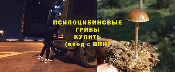 хмурый Алексин